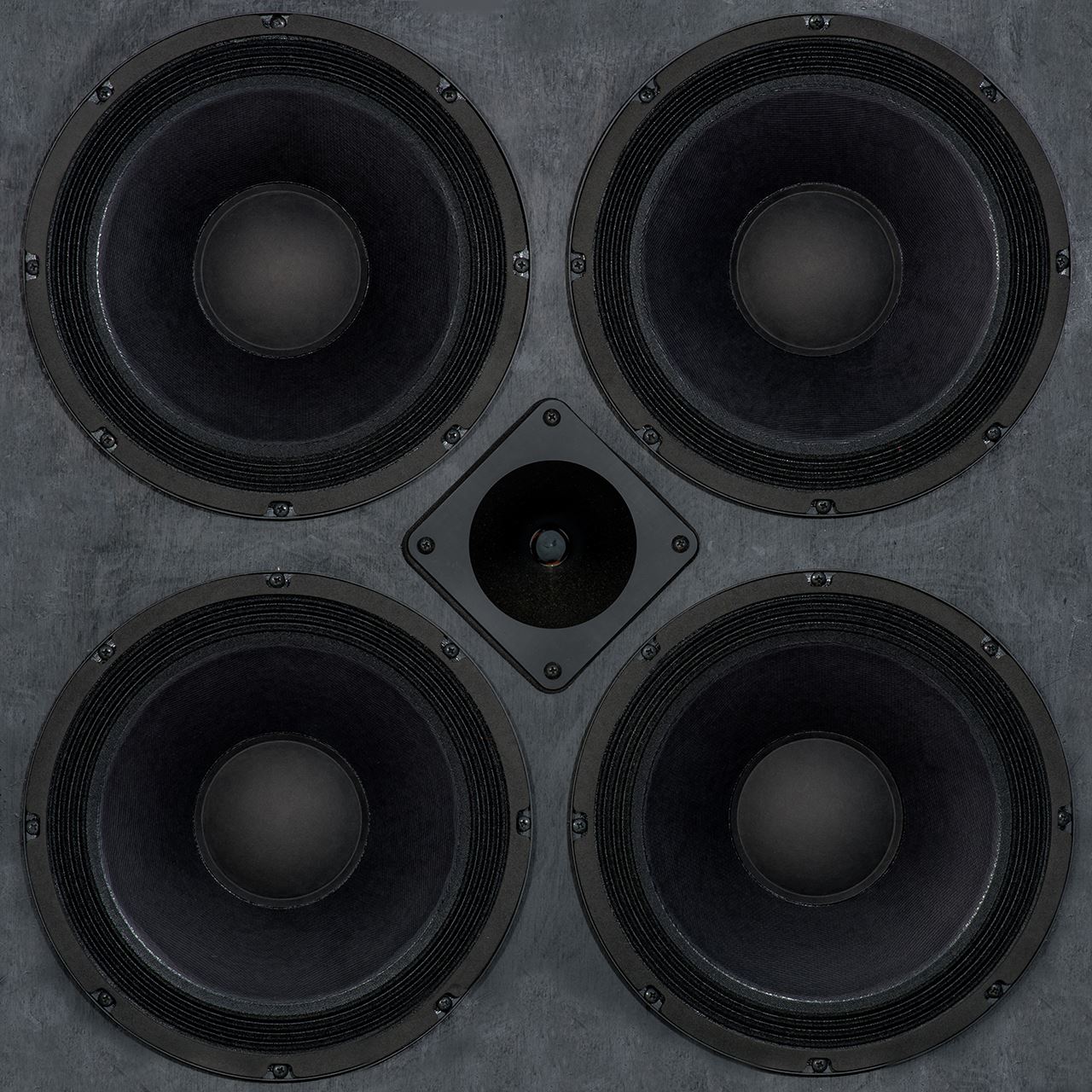 Expert speaker